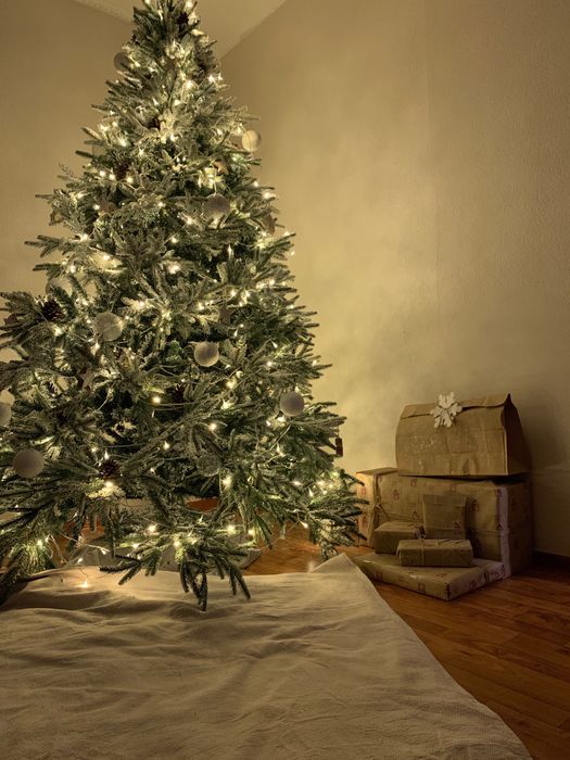 Елка в хорошем состоянии