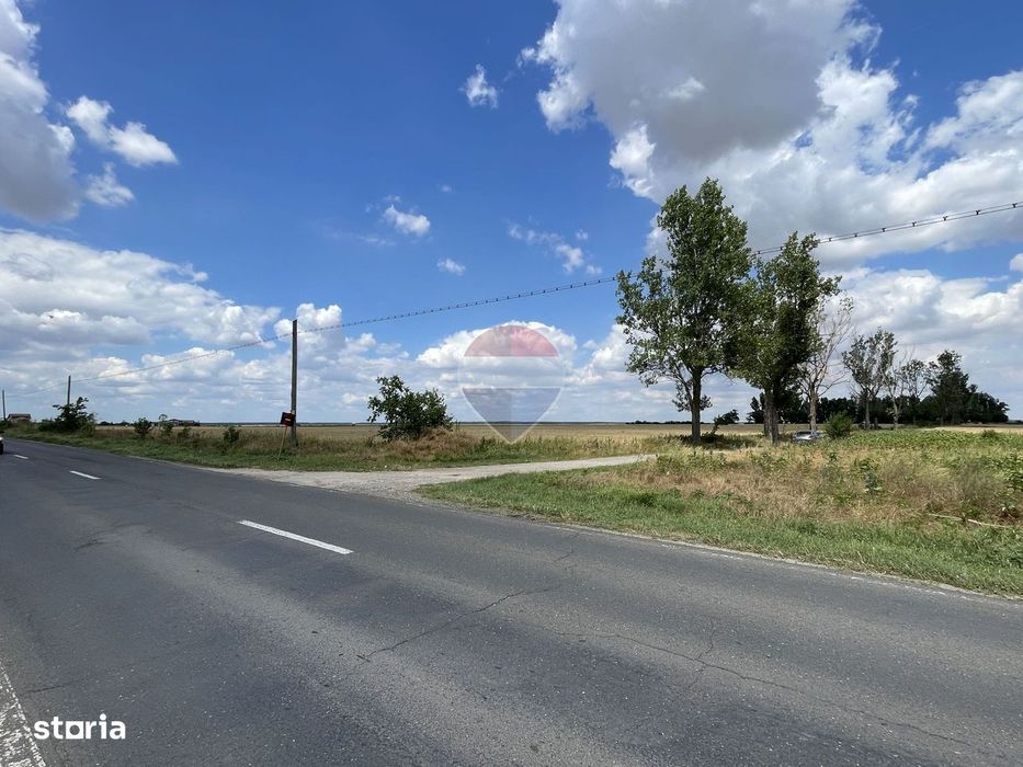 Teren 4.350 mp langa Balta Pasarea, Frumusani