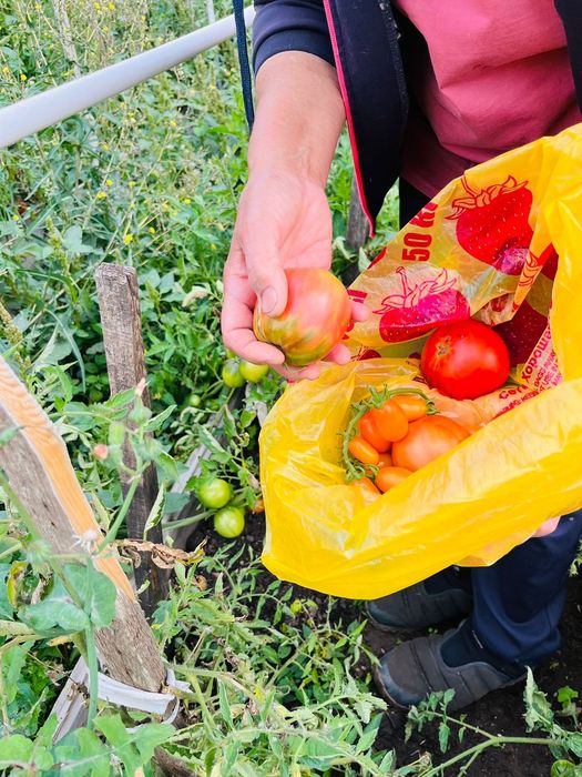 Продам дачу на Темерязева г Степногорск