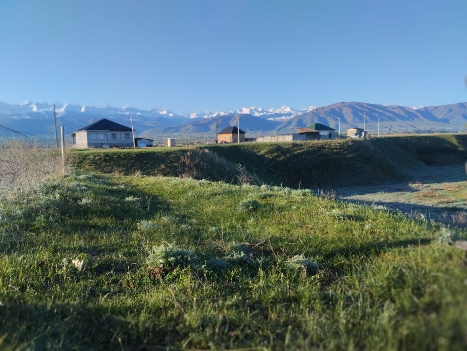 Дом в тихом районе