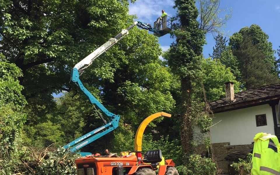 Събаряне на Опасни Дървета