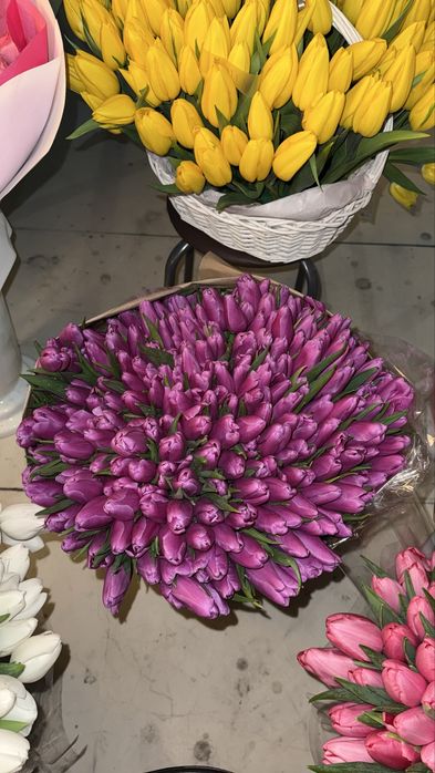 Продам тюльпаны оптом