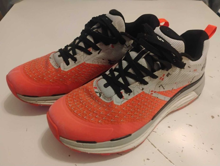 Трейл маратонки The North Face Enduris 2