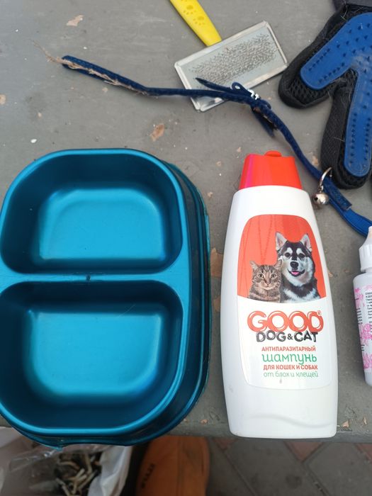 Гигиена для кошек или собак