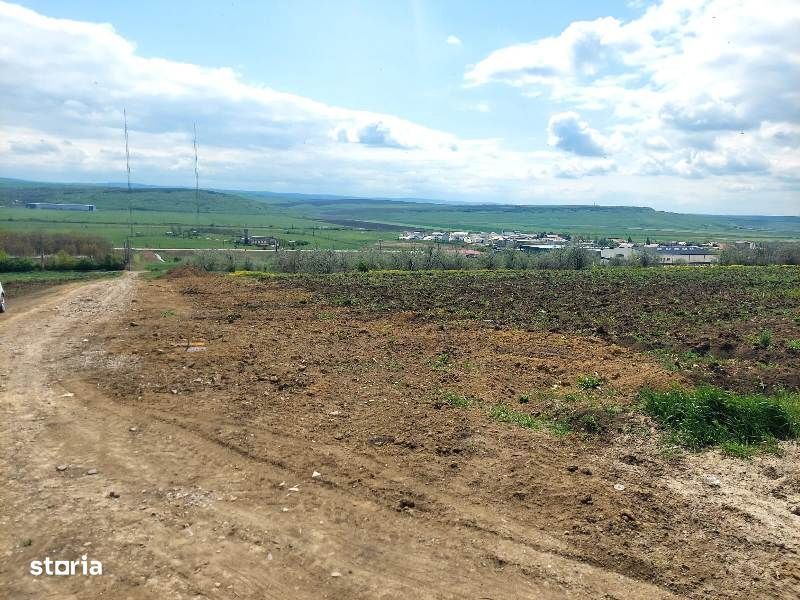 Teren intravilan industrial, zona Zeelandia, E583, utilitati