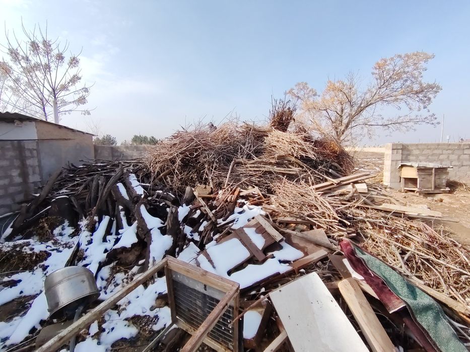 O'tin sotiladi kunda shappa