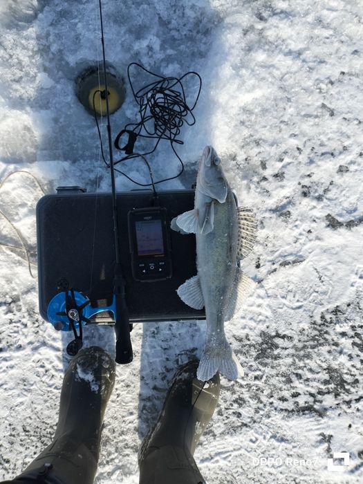 Эхолот Lucky FF718LIC