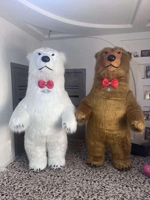 Remont damlik ayiqlar