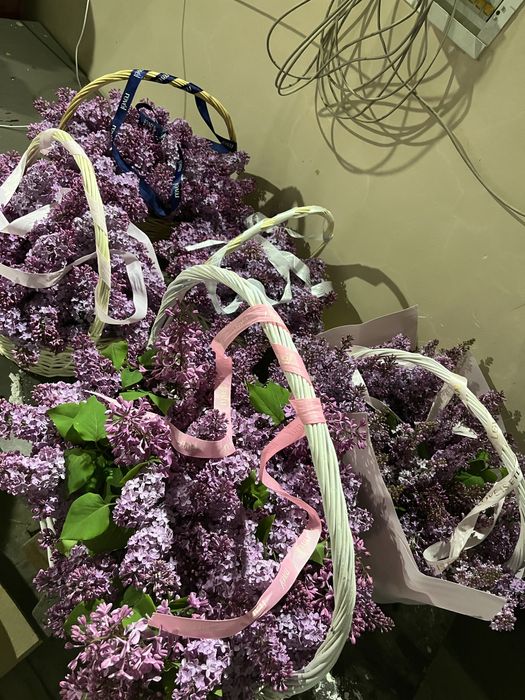 Сирень букет 10к любой