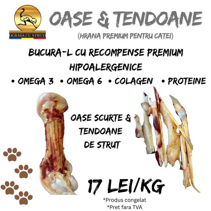 Hrana Câini // PetFood // Barf food