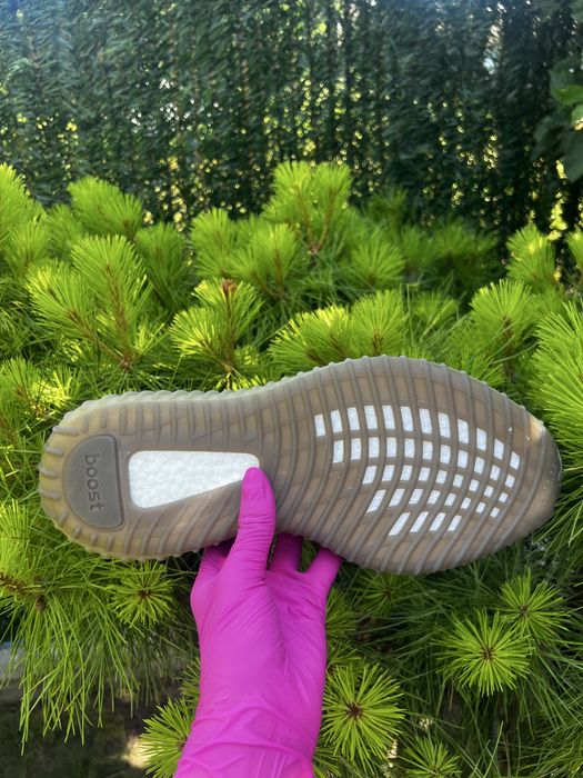 Yeezy 350 Beluga