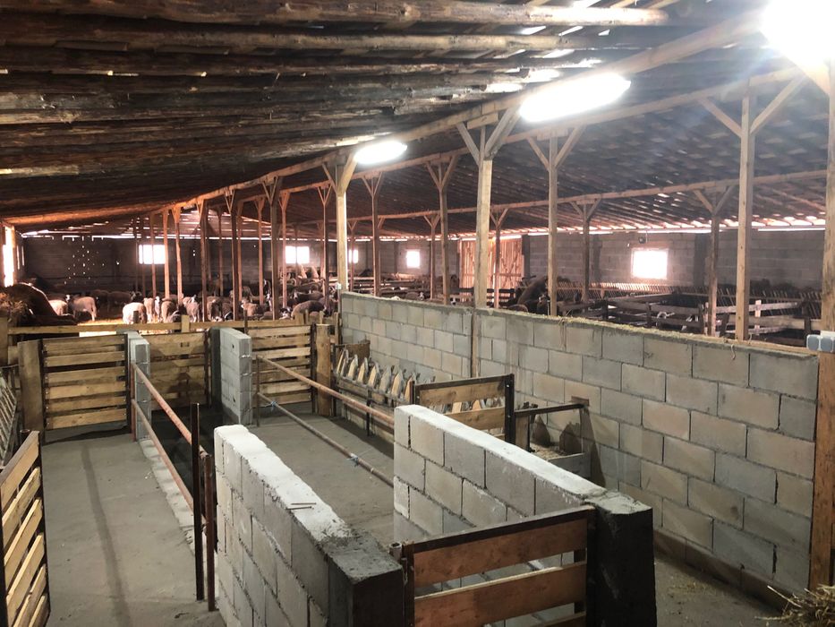 Продава Овцеферма , село Гранит
