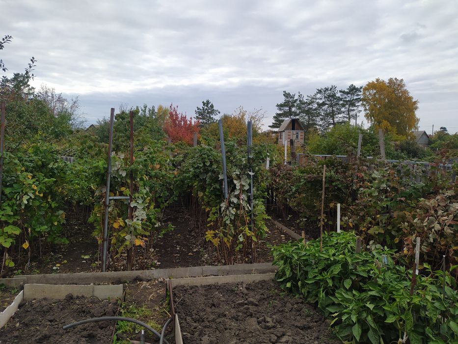 Продам дачу СО"Железобетонщик"