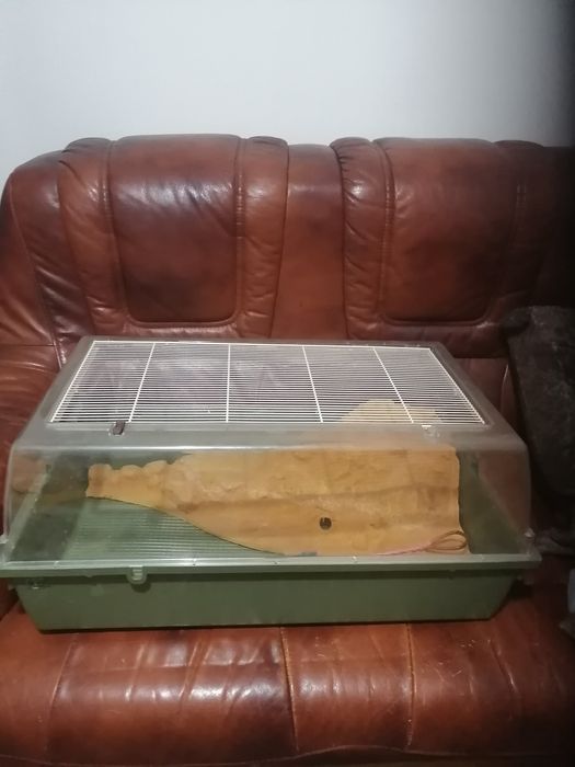 Террариум для ящериц, черепах, лягушек  б/у