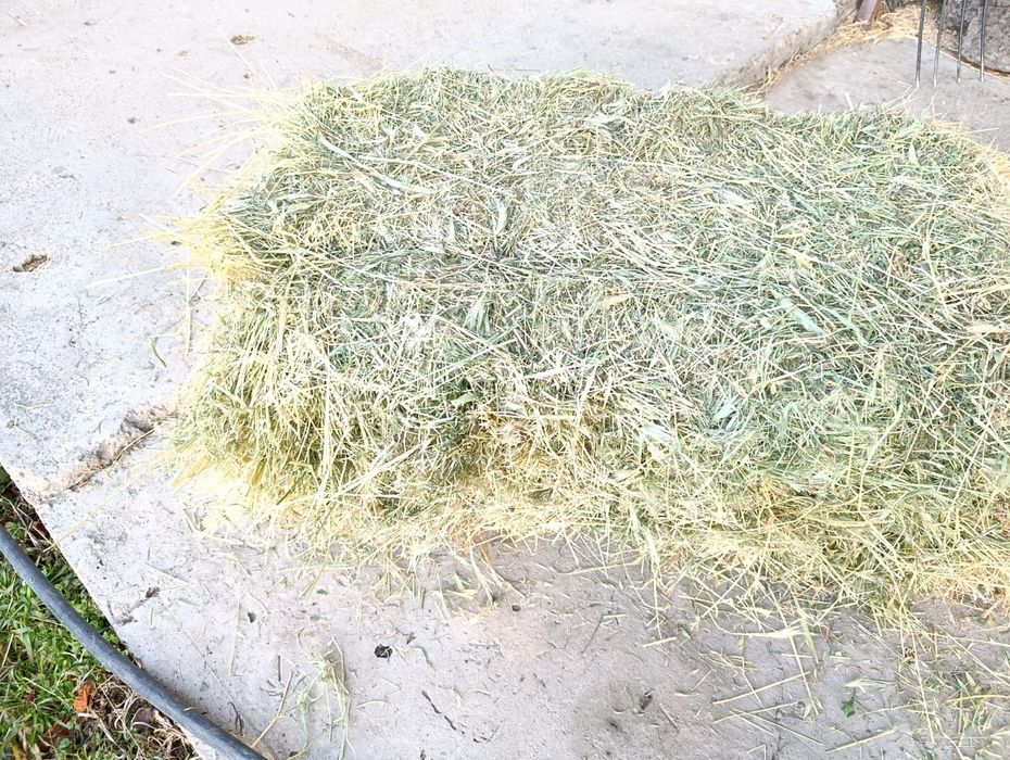 Пресс шөп сатыда