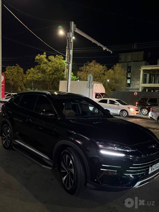 Byd chempion gibrit