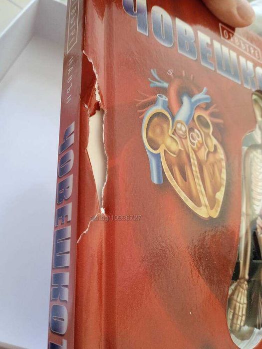 Книга Човешкото тяло