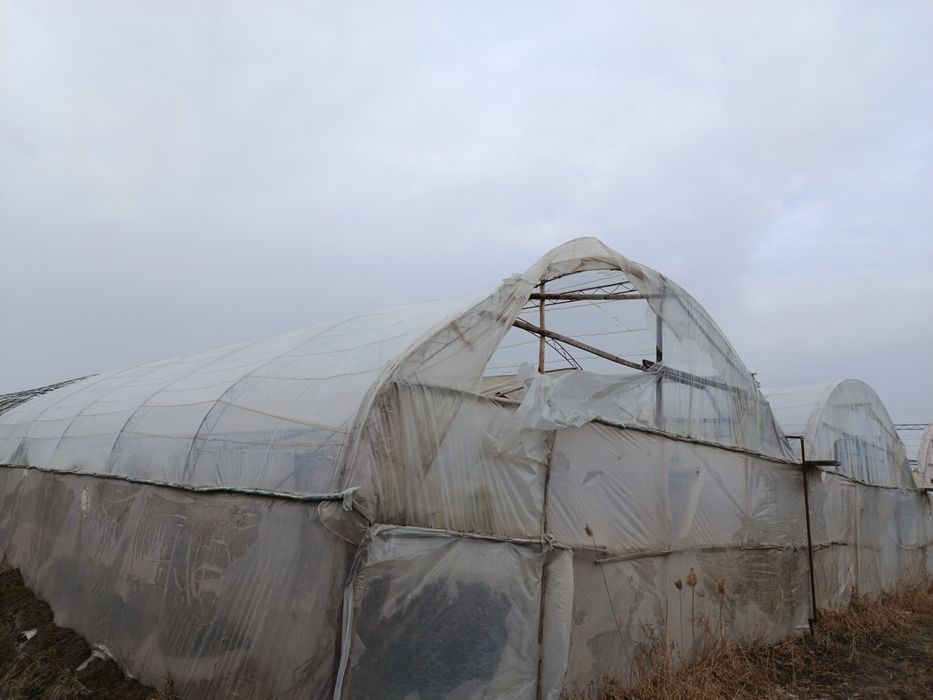 Parnik (ISSIQXONA) SOTILADI... (22,5×28)m