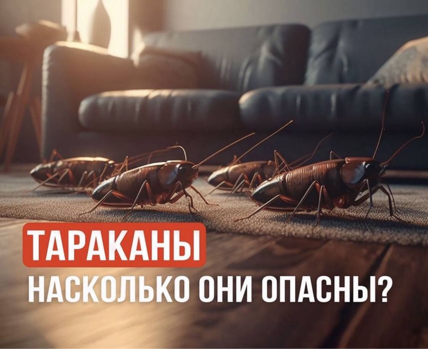 Скидки20%Дезенфекция дизенфекция дезинфекция дизинфекция dizinfeksiya