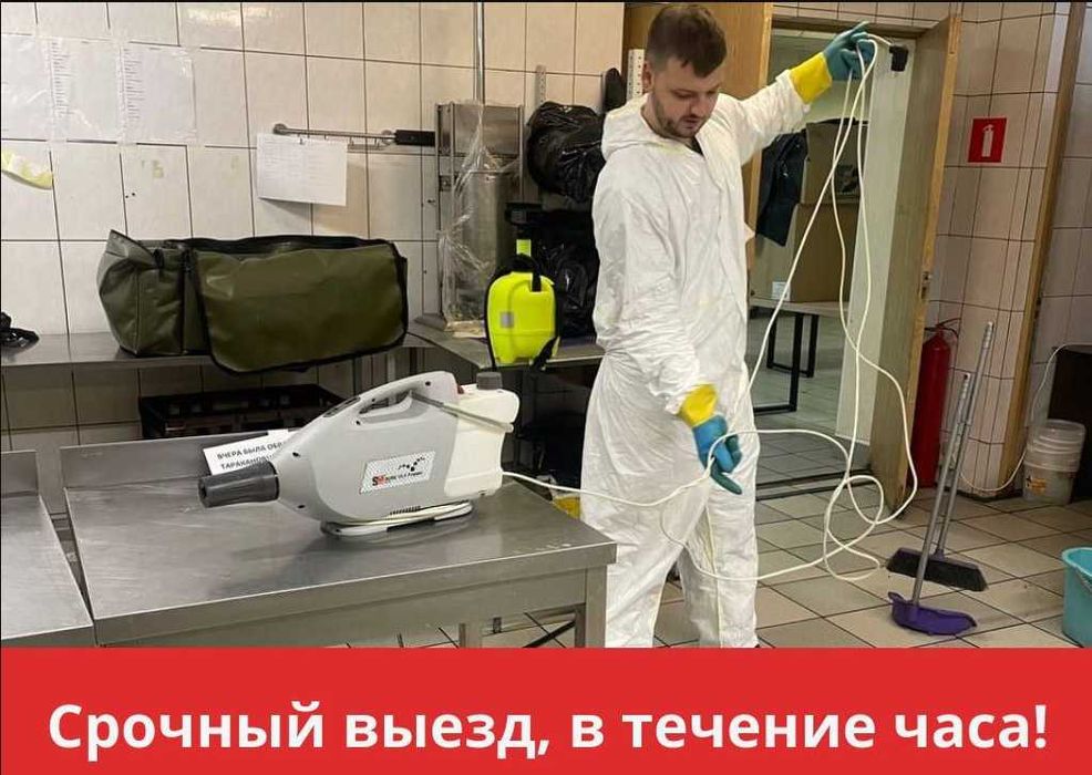 Dezinfeksiya klop дезинфекция Уничтожение насекомых тараканов клоп D-4