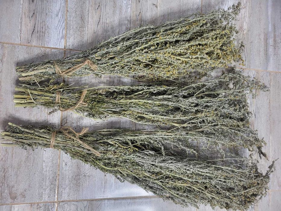 Полынь горькая для бани