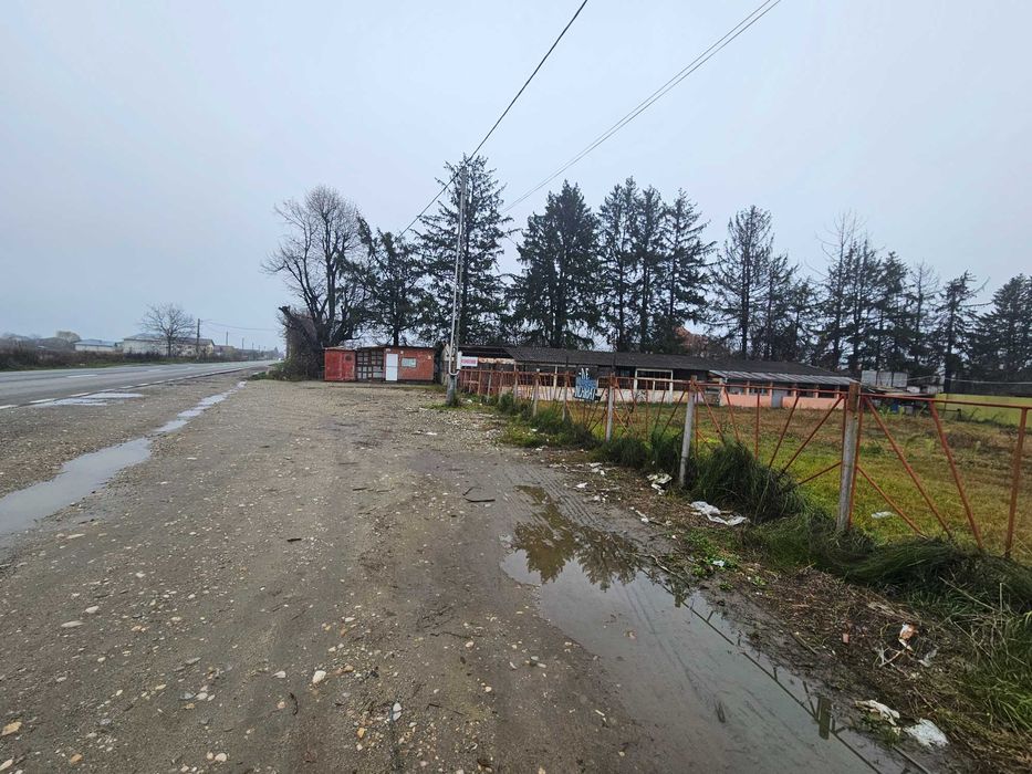 Inchiriez teren intravilan Sacuieni, DN 72