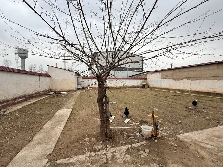 Yo'l yuzida tog'ga qaragan 85.000 ga 6 sotih xovli