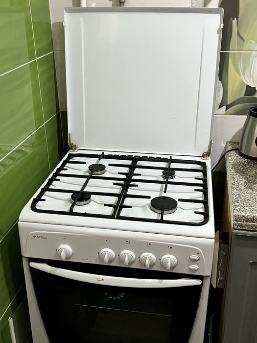 Газовая плита с печью