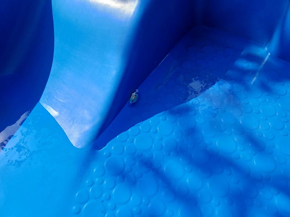 Piscină mică din fibră de sticlă