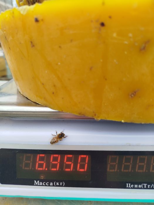 Продам забрусный воск