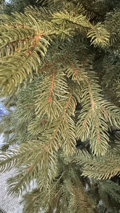 Продам елку 2,4 м