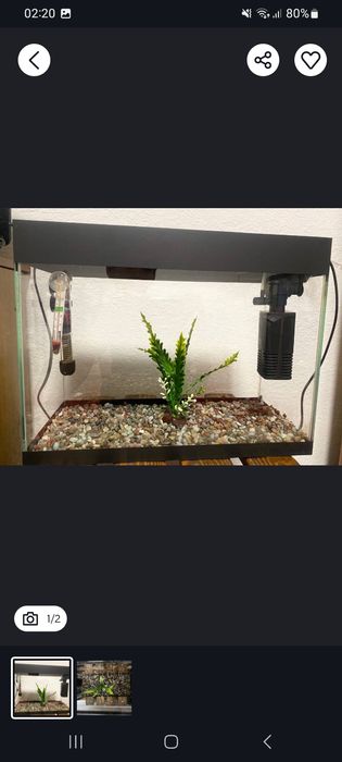 Akvaryum sotiladi komplekt