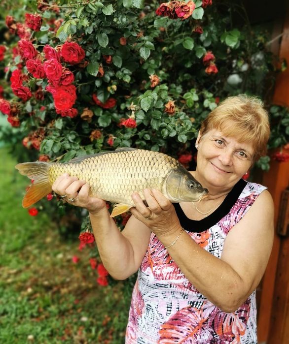 Vând proprietate in vecinătatea Mănăstirii Dobrești jud.Timiș.