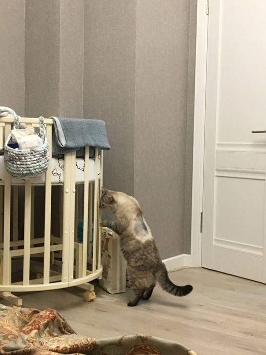 Детская кроватка-трансформер