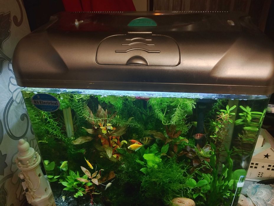 Аквариум комплект.