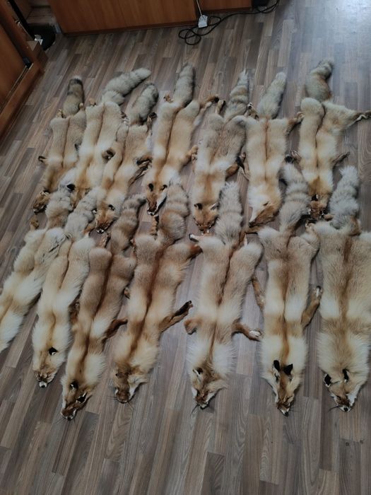 Шкуры натуральные