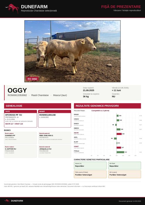 Tăuri Charolaise cu certificat genetic Franța – DUNEFARM