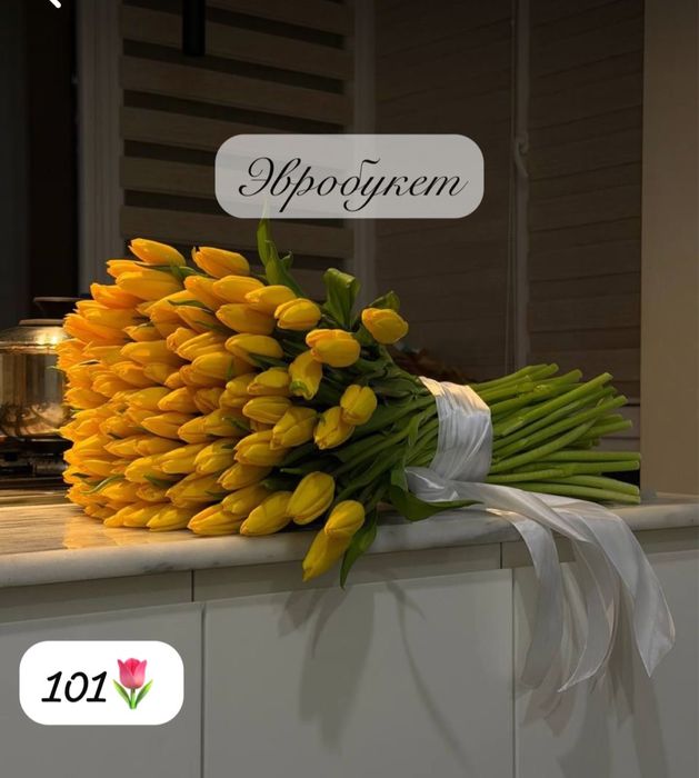 Тюльпаны свежий оптом