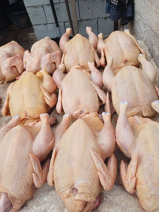 Продам мяса бролерных курей