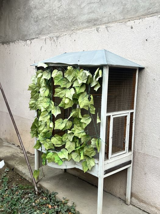 Валер/кафас кушлар учун