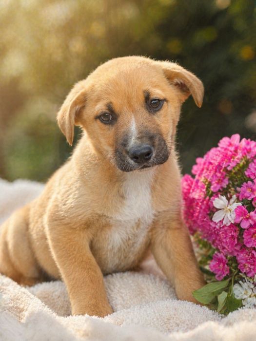 Ищем маму и папу!