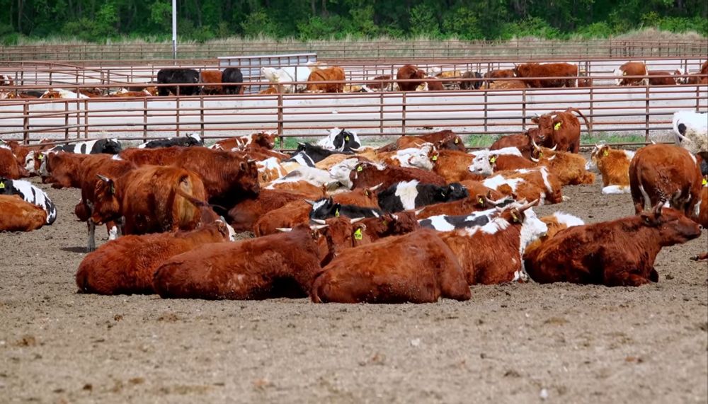 Труба НКТ 73,60¤ толшина 5.5