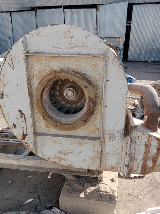 Мельница Раймонда 95