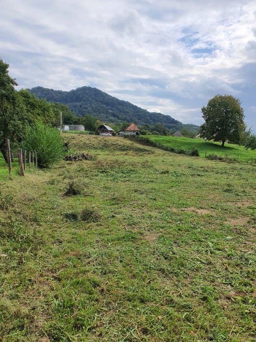 Teren Intravilan Arges, Corbsori