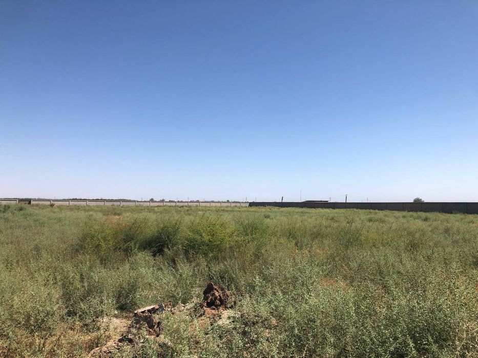 Tayyor ferma sotiladi