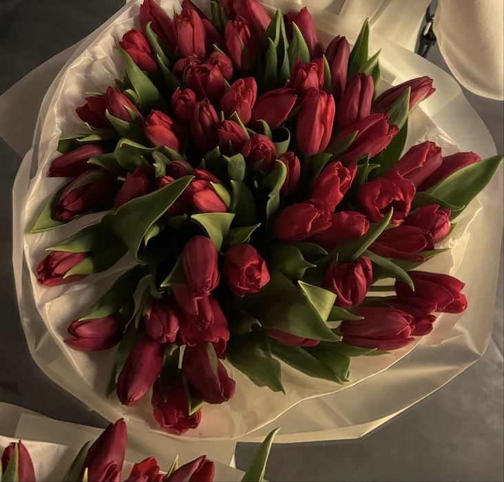 Тюльпаны красные