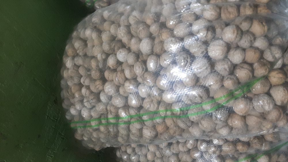 Орехи грецкие жангак