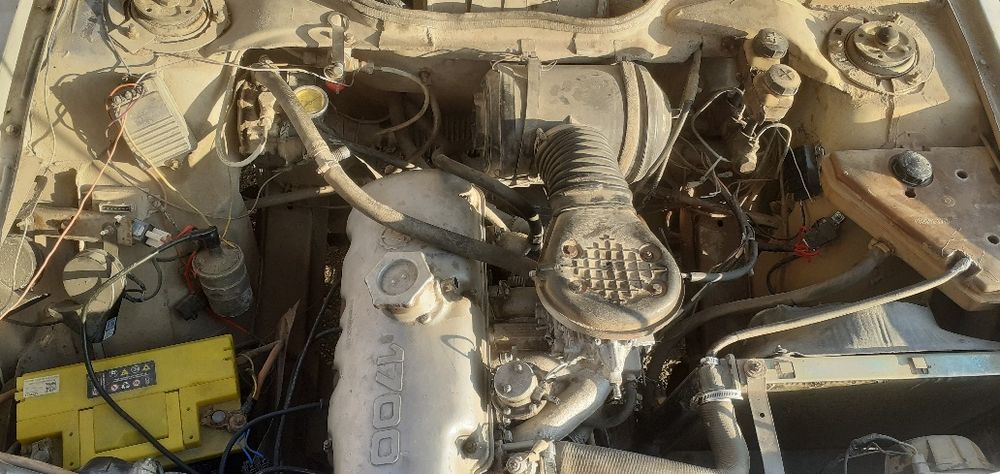 2141 maskivich pikab sotiladi