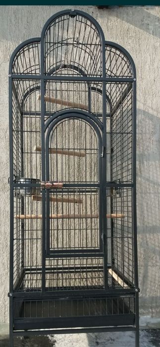 Клетка   Валер .