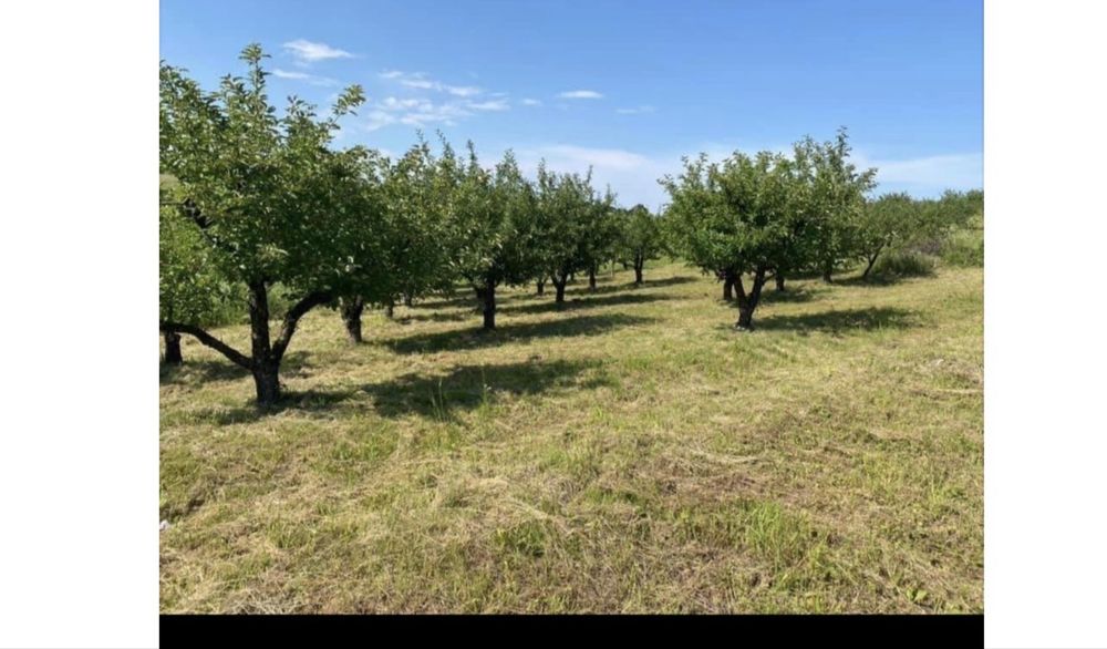 Vand teren deosebit de frumos pentru 1- 2-4 familii-5755 MP